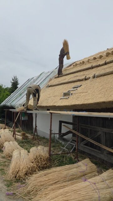 Old craft, new life : the making of a thatched roof 🌾💚🏡