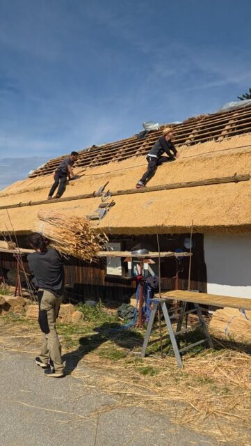 Luknja pri luknji tišči, pa vode skozi ne pusti. 🌾
Full of holes from end to end, yet it keeps the rain outside 🌾

#thatchedcottage #visitptuj #farmlife #slovenia