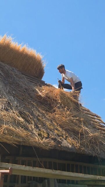 Out with the old, getting ready for the new! 🌾

#visitptuj #slovenia #farmlife #thatchedcottage