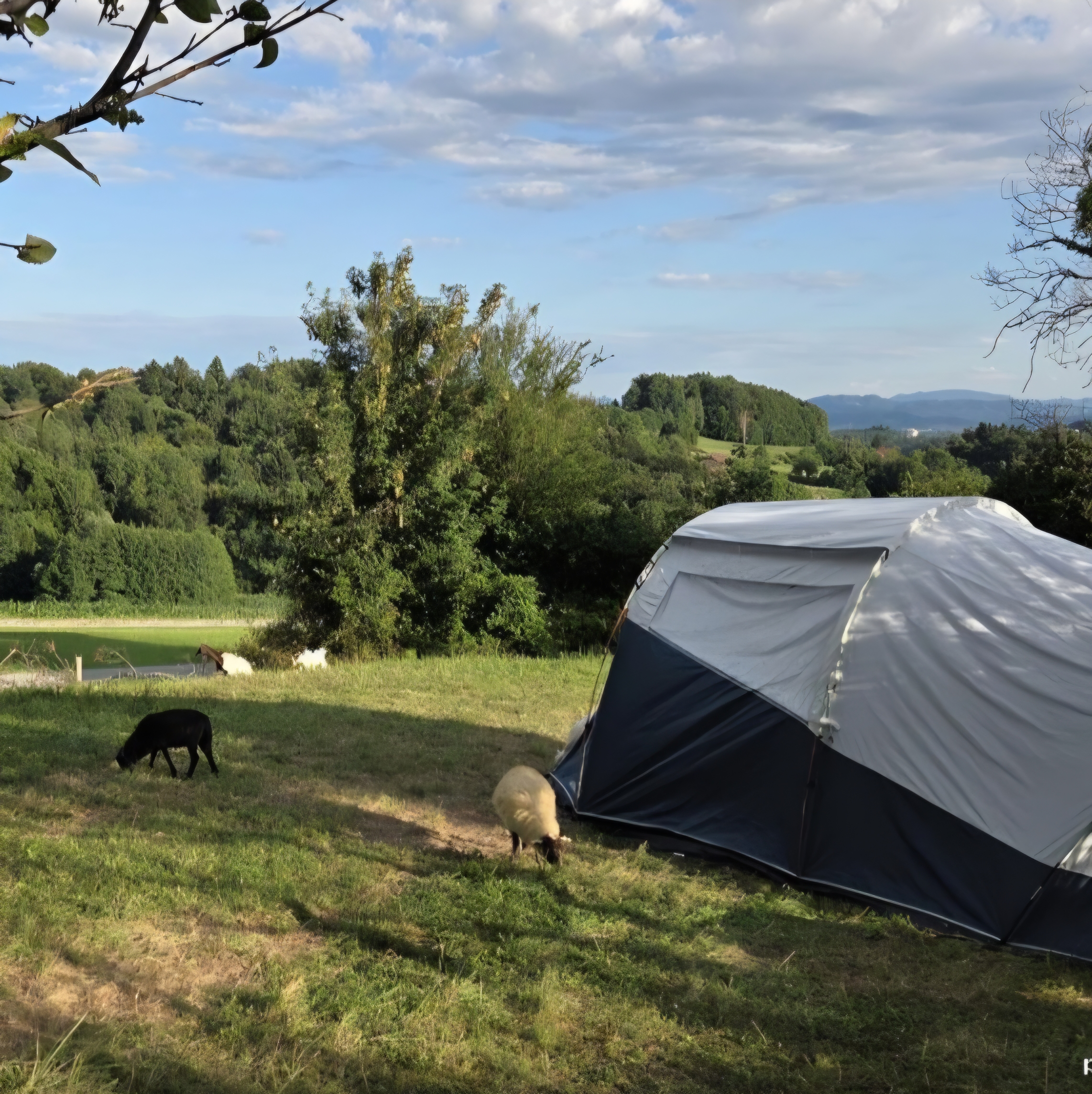 Kampiranje na Posestvu Stadtberg pri Ptuju